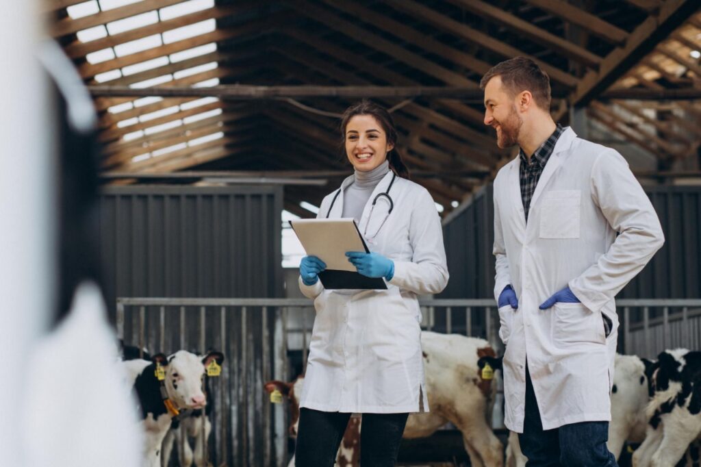 5 Unique Ways Technology Can Improve Livestock Management